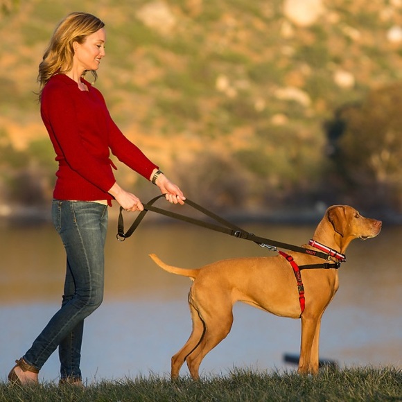NWOT Dog no pull training harness size Large red and black - Picture 3 of 9